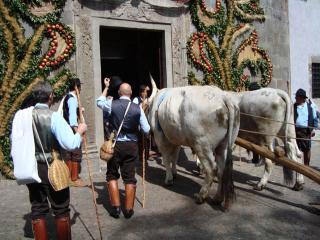 Immagine allegata alla scheda. Per averne una descrizione leggere i dettagli più in basso.